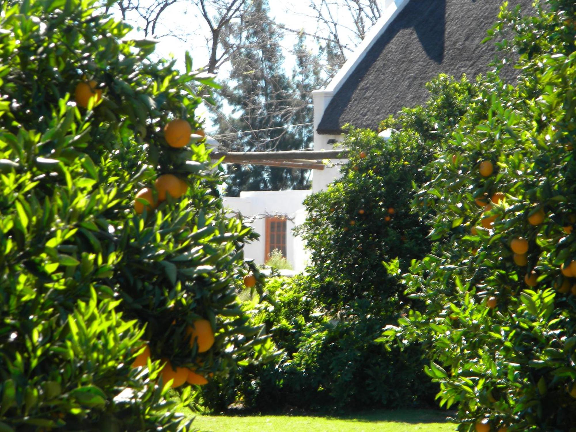 Villa Klein Boschkloof à Clanwilliam Extérieur photo