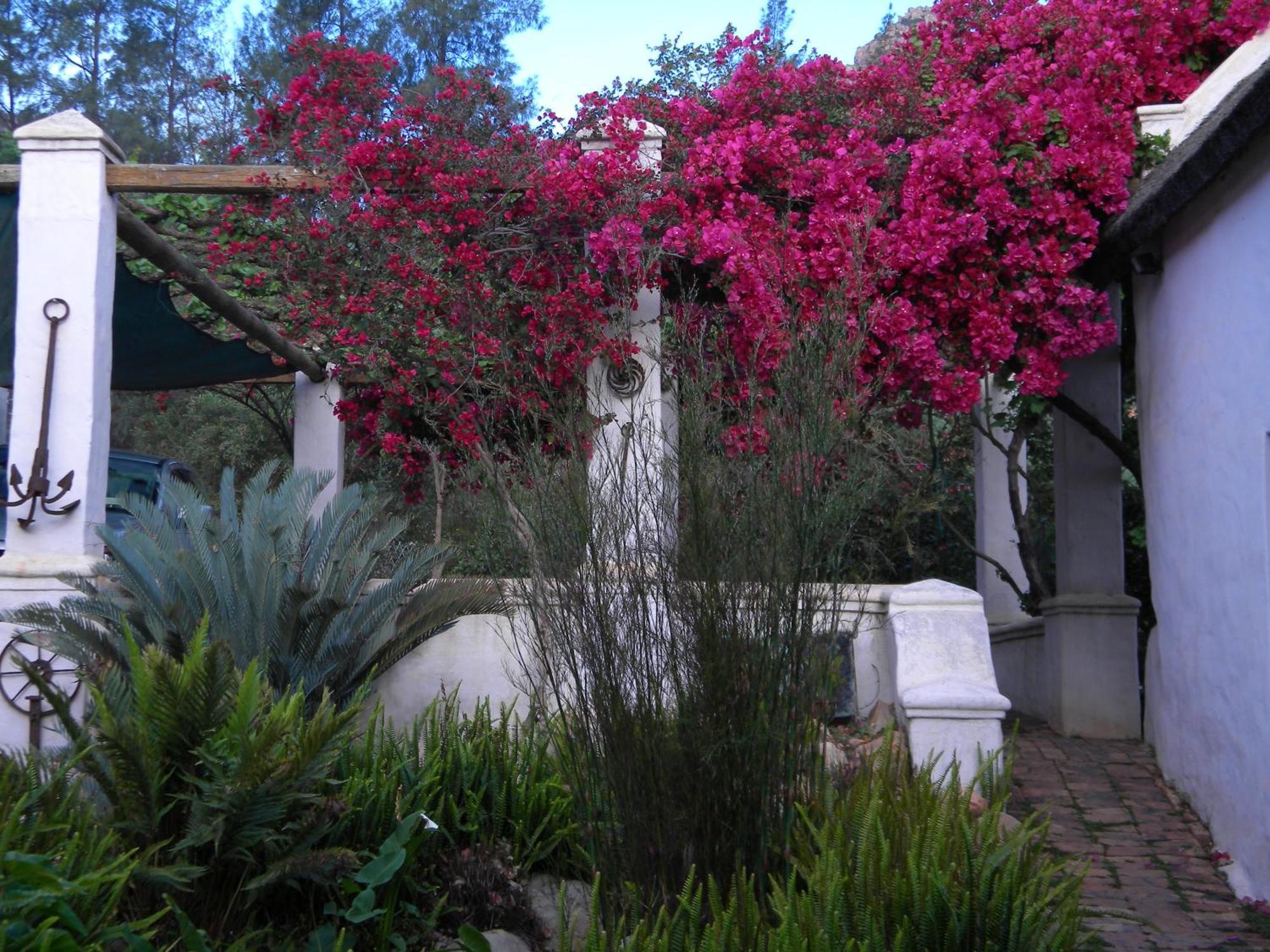 Villa Klein Boschkloof à Clanwilliam Extérieur photo